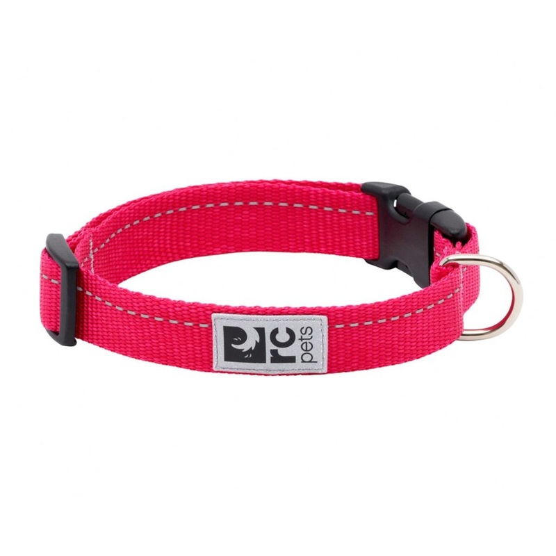 RC Pets Primary Clip Dog Collar Medium Azalea