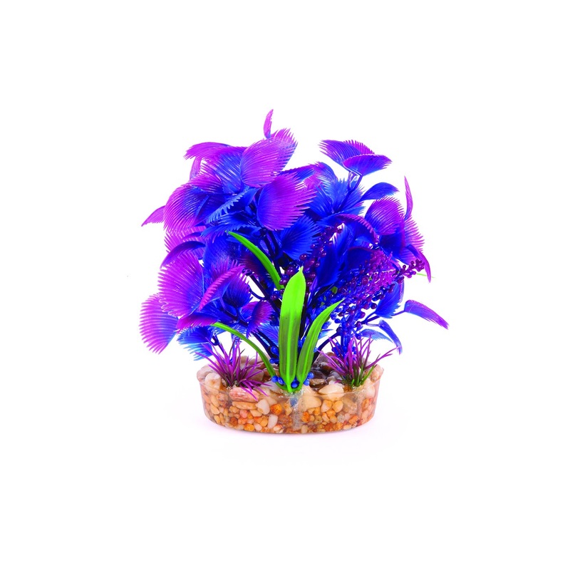 Kazoo Maroon With Assorted Leaf Combination Bush