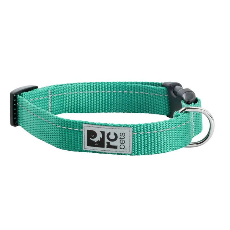 RC PETS Primary Clip Dog Collar M 1" Parakeet