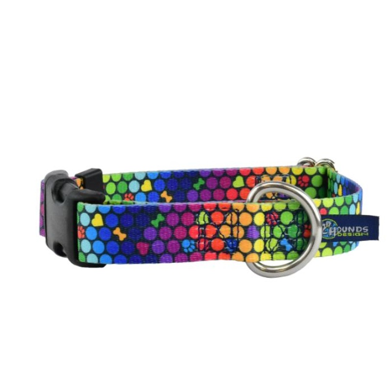 2 Hounds Design Dog Collar - Small 10-14" - Roy G Biv