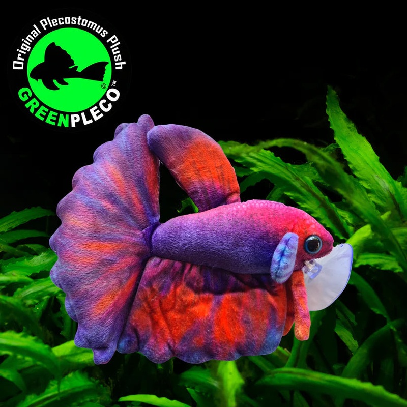 Fish Plushie - Betta Uva 17cm
