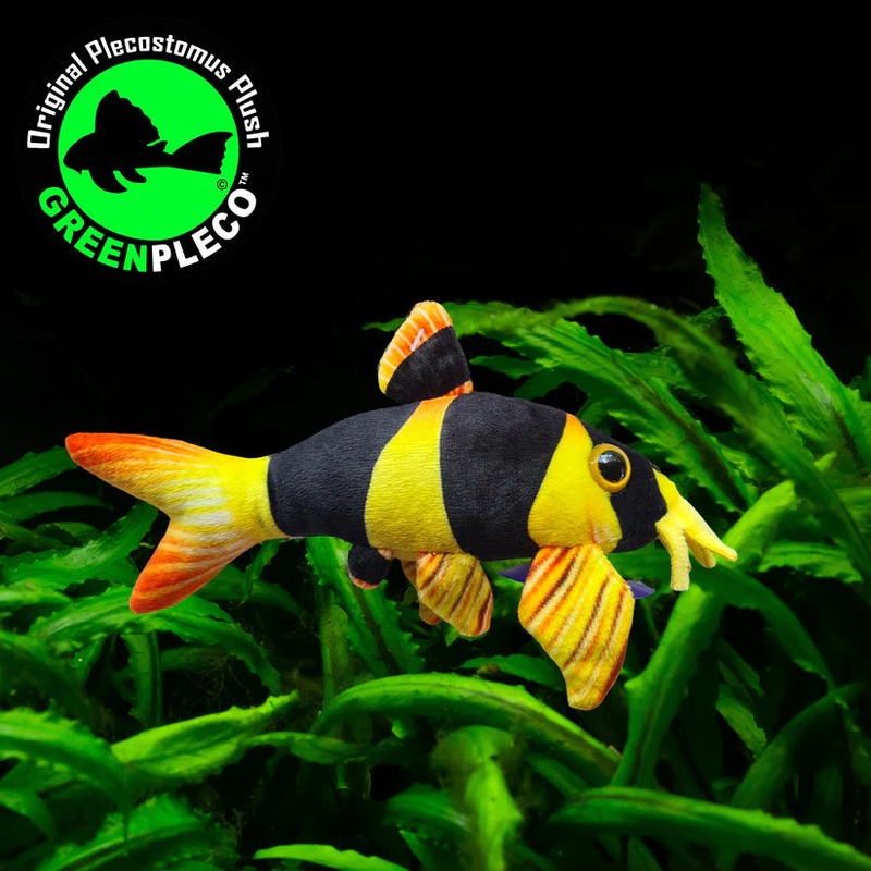 Fish Plushie - Clown Loach 16cm