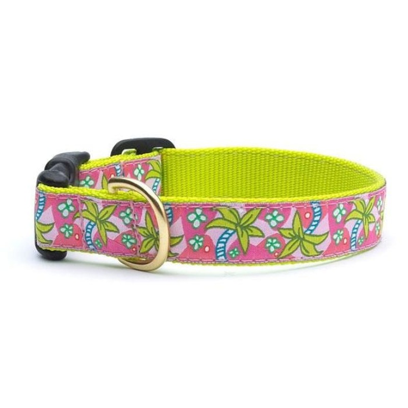 Up Country Pink Palms Dog Collar Large