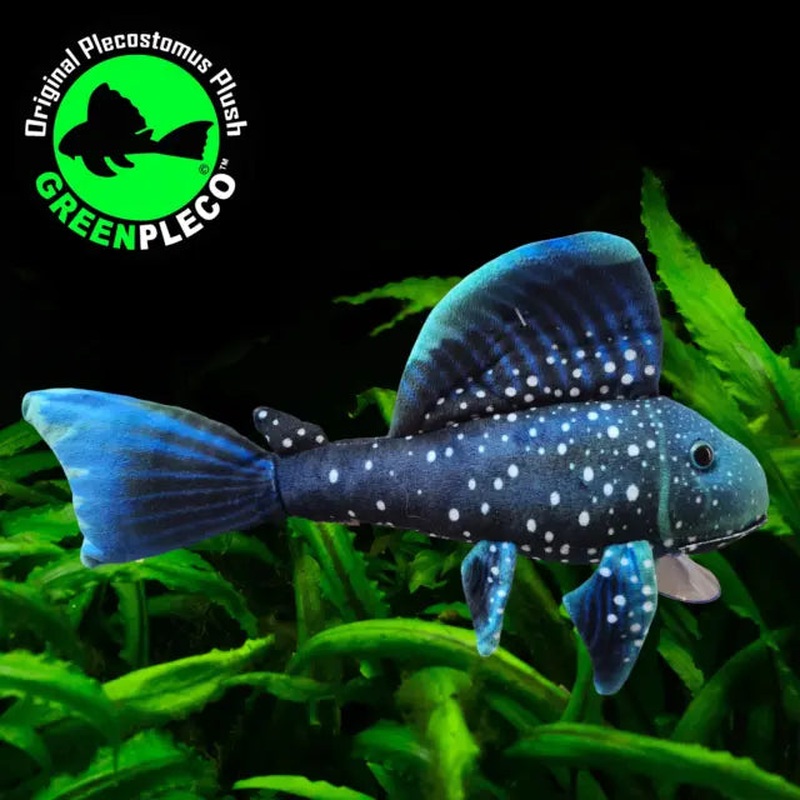 Fish Plushie - Blue Phantom Pleco 30cm