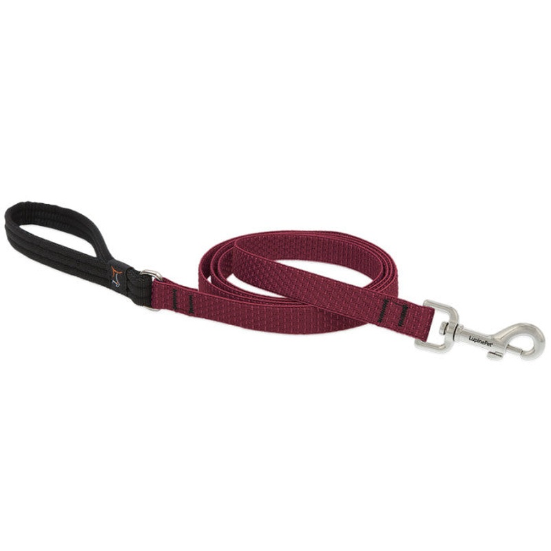 Lupine Eco Recycled Dog Leash 3/4"x4' Berry