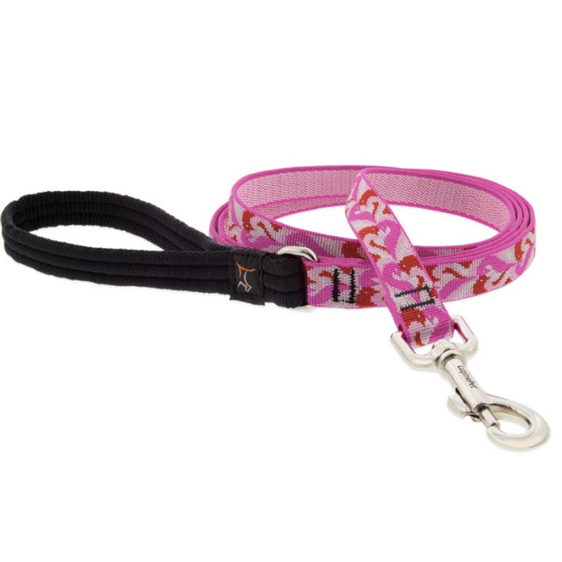 Lupine MicroBatch Limited Designs Dog Leash 3/4" x 4' Lovebirds