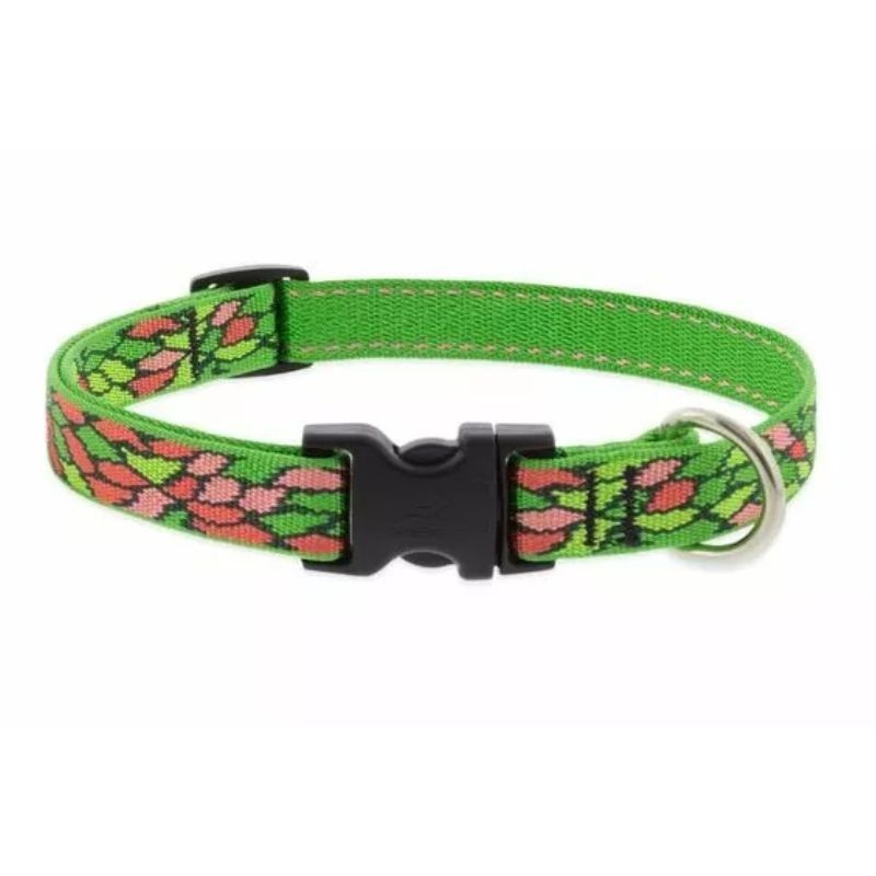 Lupine Dog Collar Adjustable 3/4" x 13-22" Tiffany