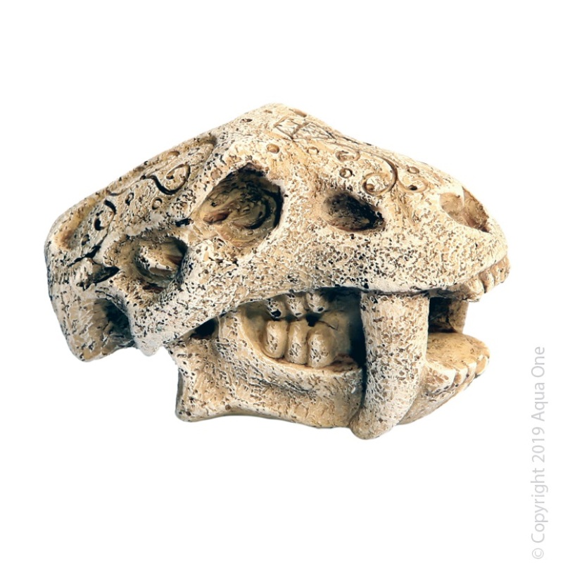 Ornament Mini Dinosour Head W Fangs 5x7x4.5cm