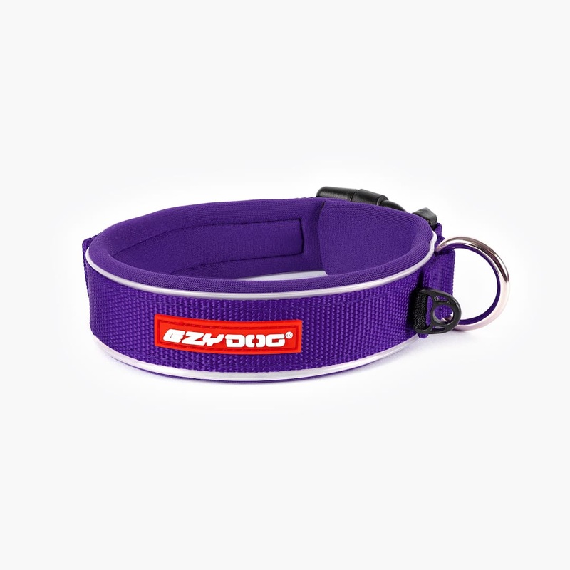 EZYDOG Neo Classic Dog Collar - Large 18-20.25" x 1 1/4" x 1" - Purple