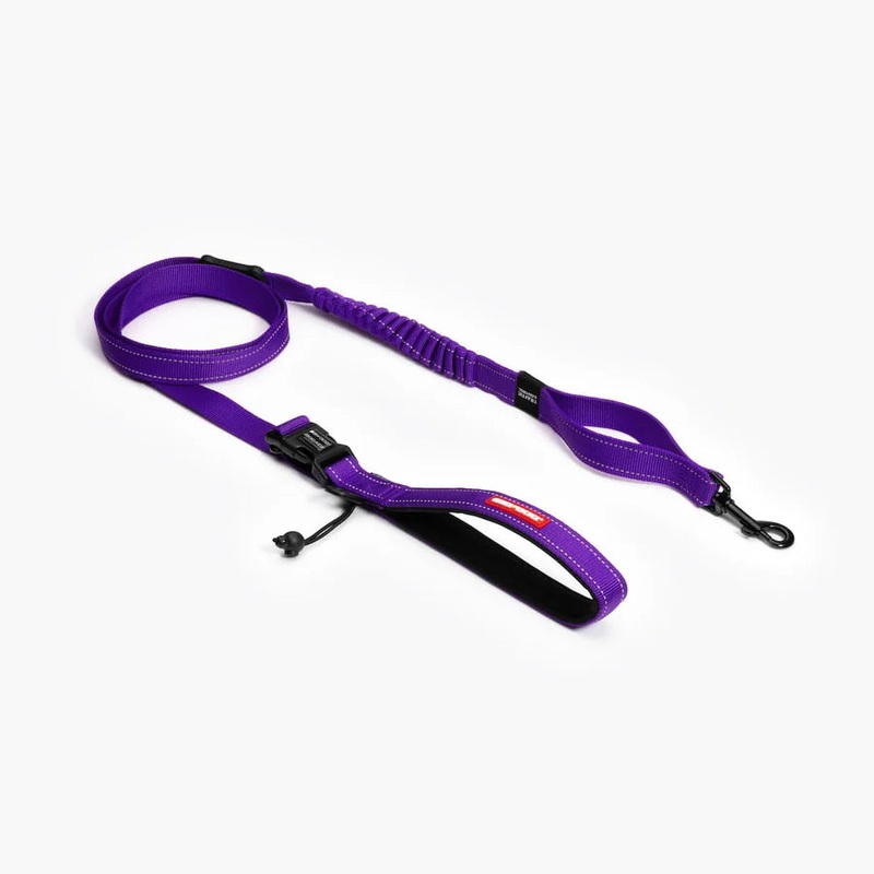 EZYDOG Road Runner Lite Dog Leash - 7' - Purple