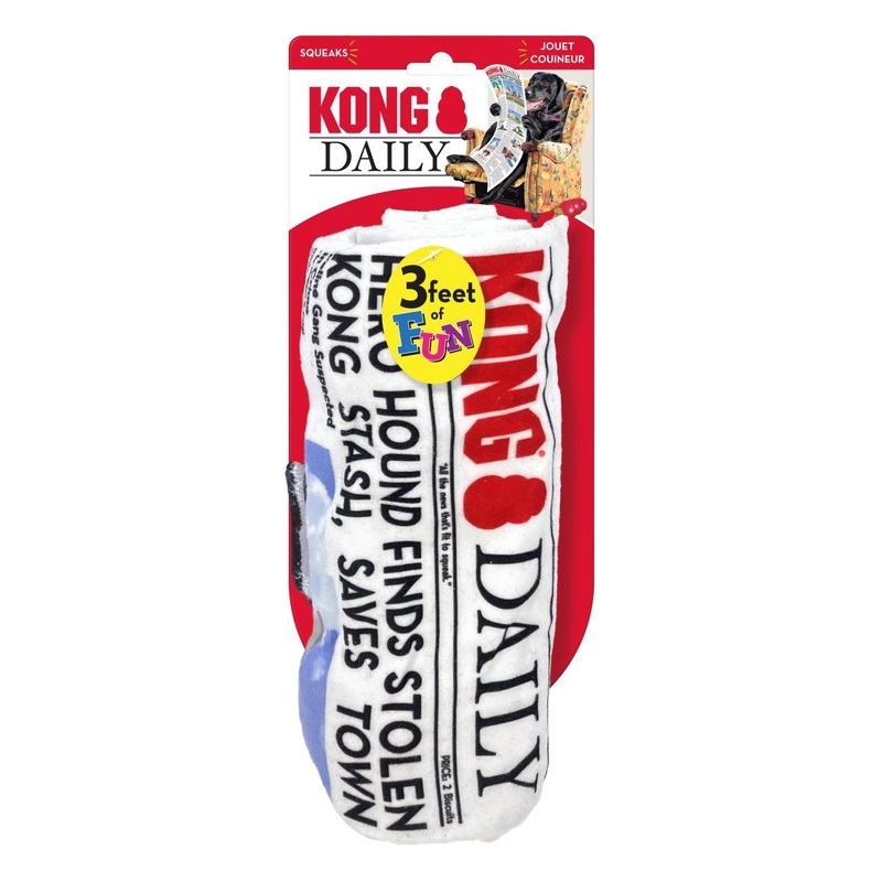 Kong Newspaper