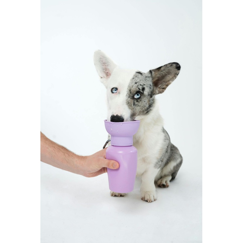 Springer - Flip Dog Travel Water Bottle