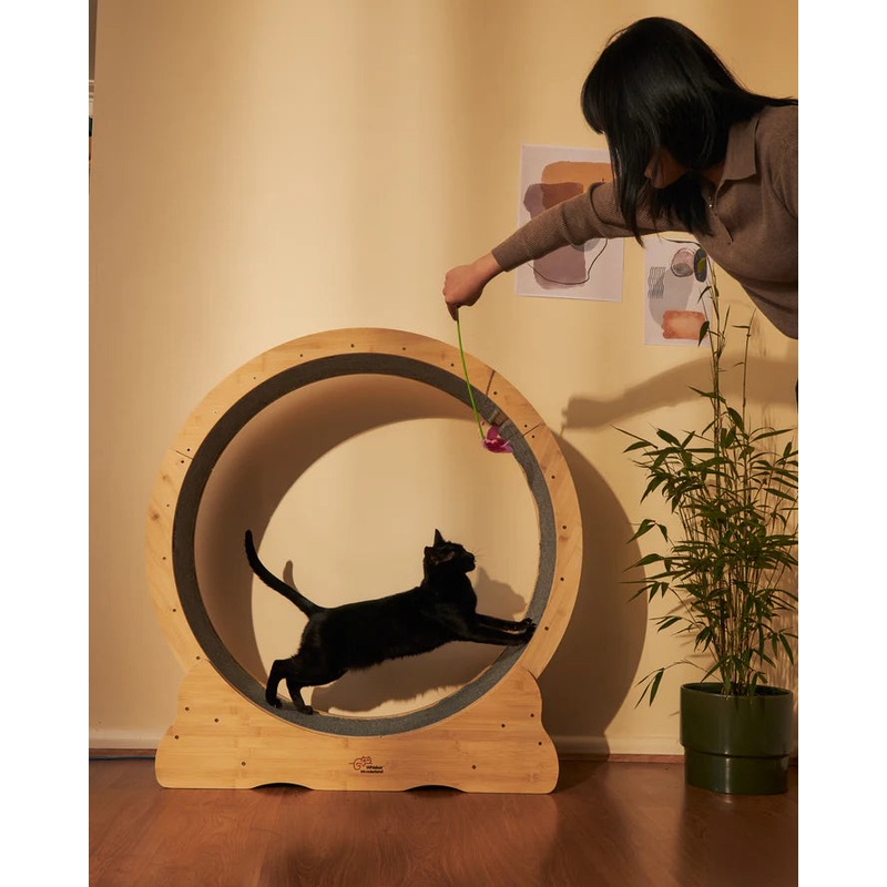 Whiskers Wonderland - Bamboo Cat Running Wheel