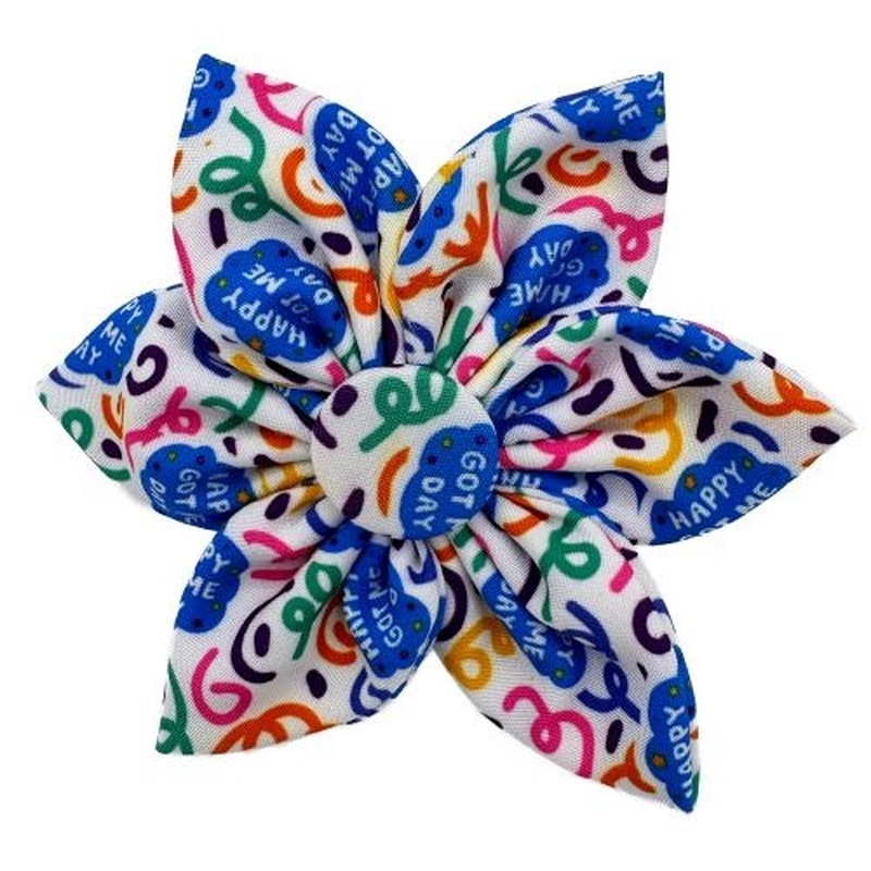 Huxley & Kent Happy Got Me Day Pinwheel Small