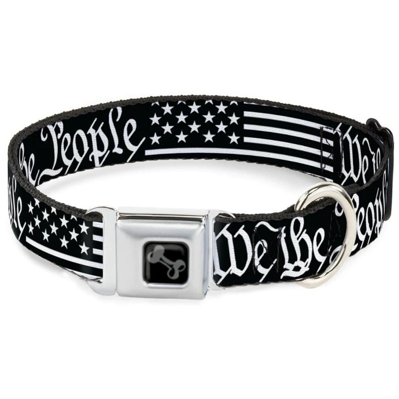 Buckel Down Collar for Dogs Flag We The People Wide Small