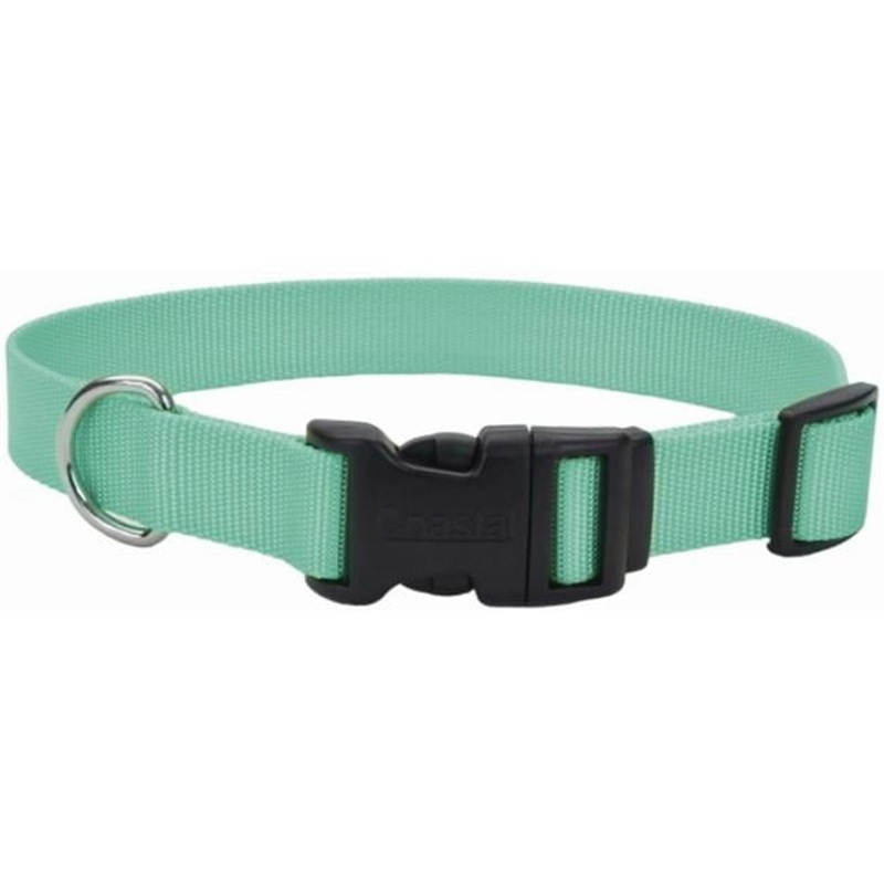 Coastal Tuff Adjustable Dog Collar 3/8" x 8-12 Teal