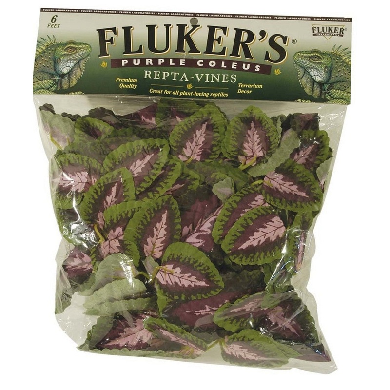Fluker's Purple Coleus Repta-Vines Green Purple 6'