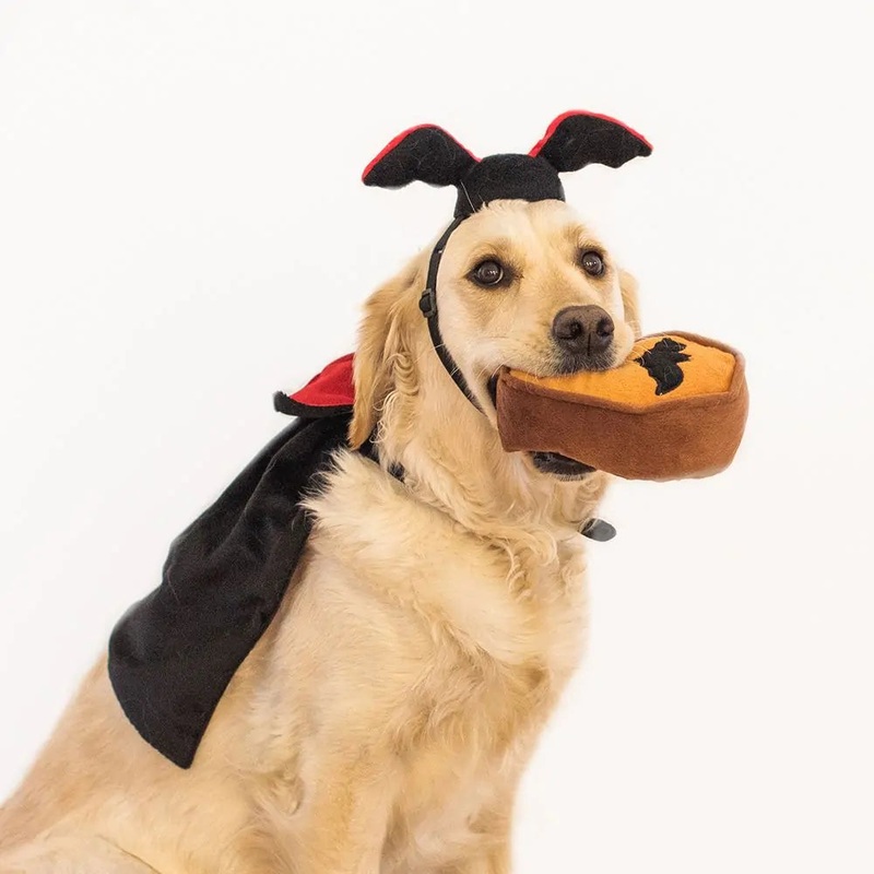 ZippyPaws Halloween Costume Kit - Dracula