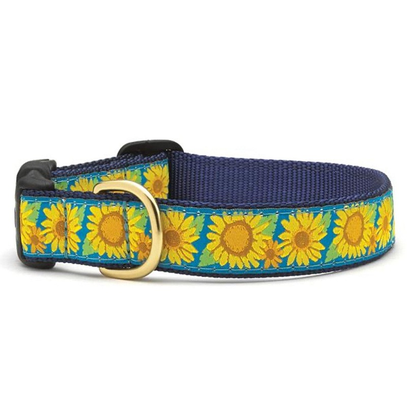 Up Country Collar Adjustable Bright Sunflower Dog Collar Large