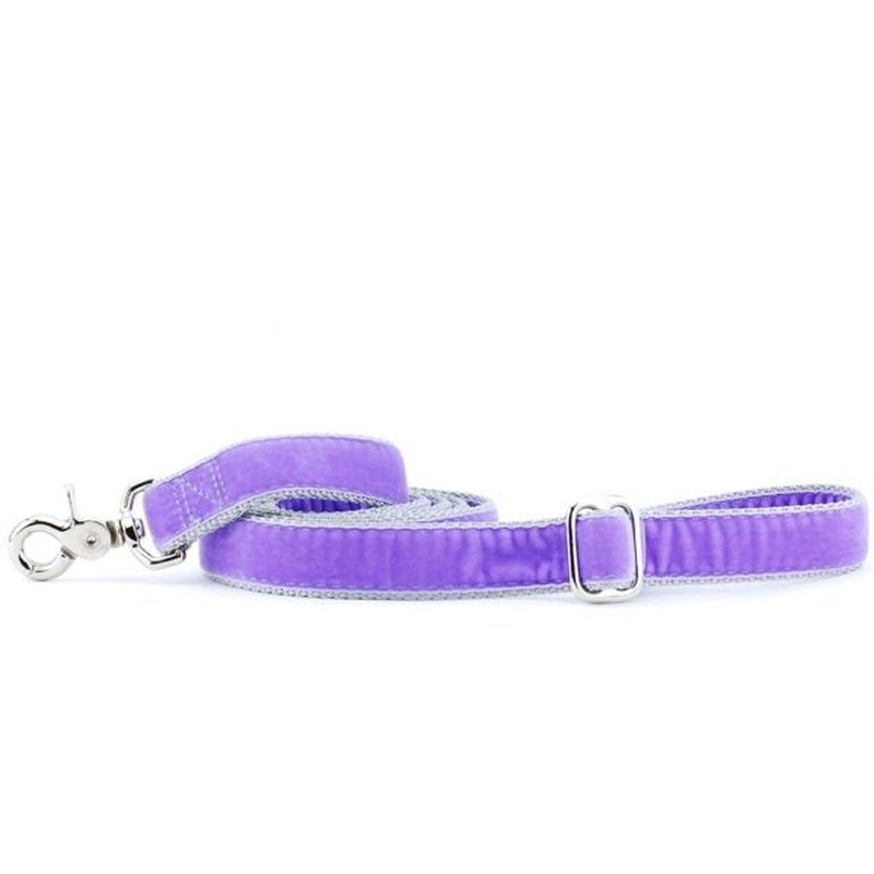 2 Hounds Design Dog Leash - 6' - Lavender Velvet