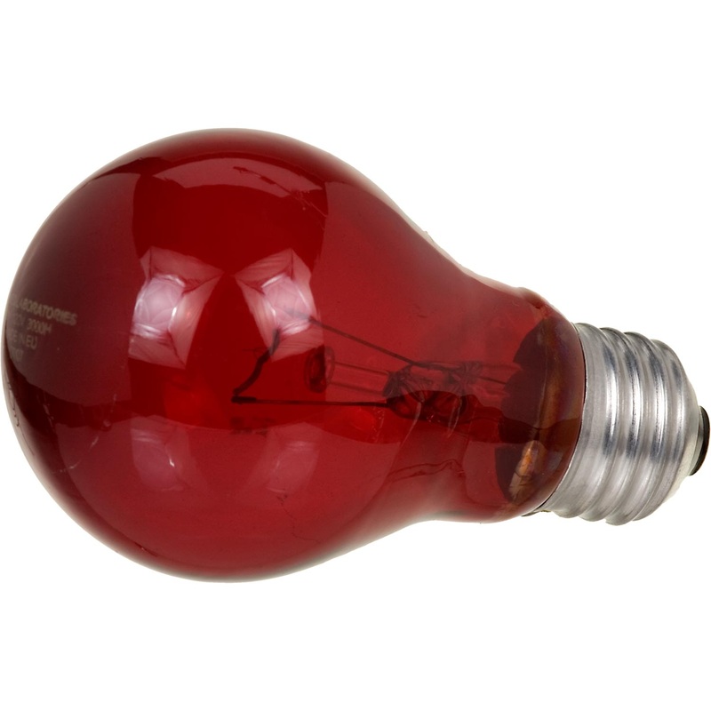 Zoo Med Nightlight Red Reptile Bulb  60 Watt
