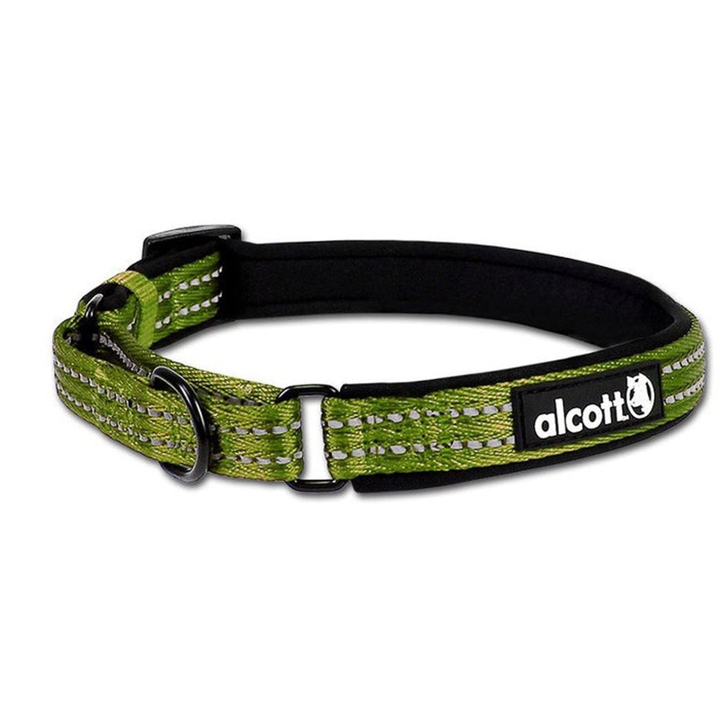 Alcott Martingale Dog Collar - Medium 14-20" - Green