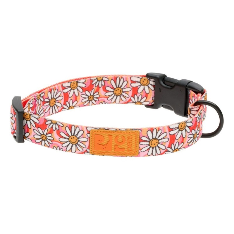 RC Pets Eco Clip Dog Collar Medium Daisy Joy