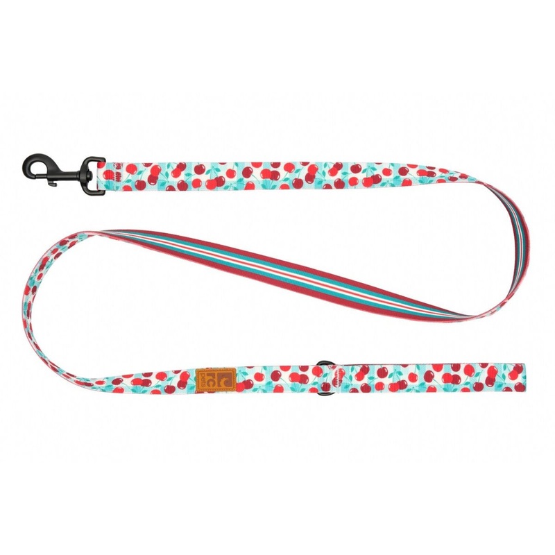RC Pets Eco Dog Leash - 1" x 5' - Cherry Picnic