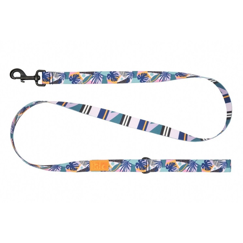 RC Pets Eco Dog Leash - 1" x 5' - Mystic Monstera