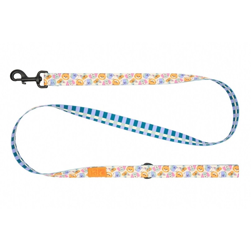 RC Pets Eco Dog Leash - 1" x 5' - Pup-Moji