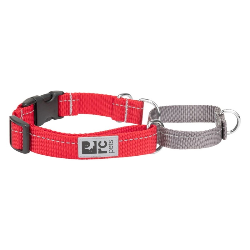 RC Pets Primary Web Training Clip Collar Small Azalea