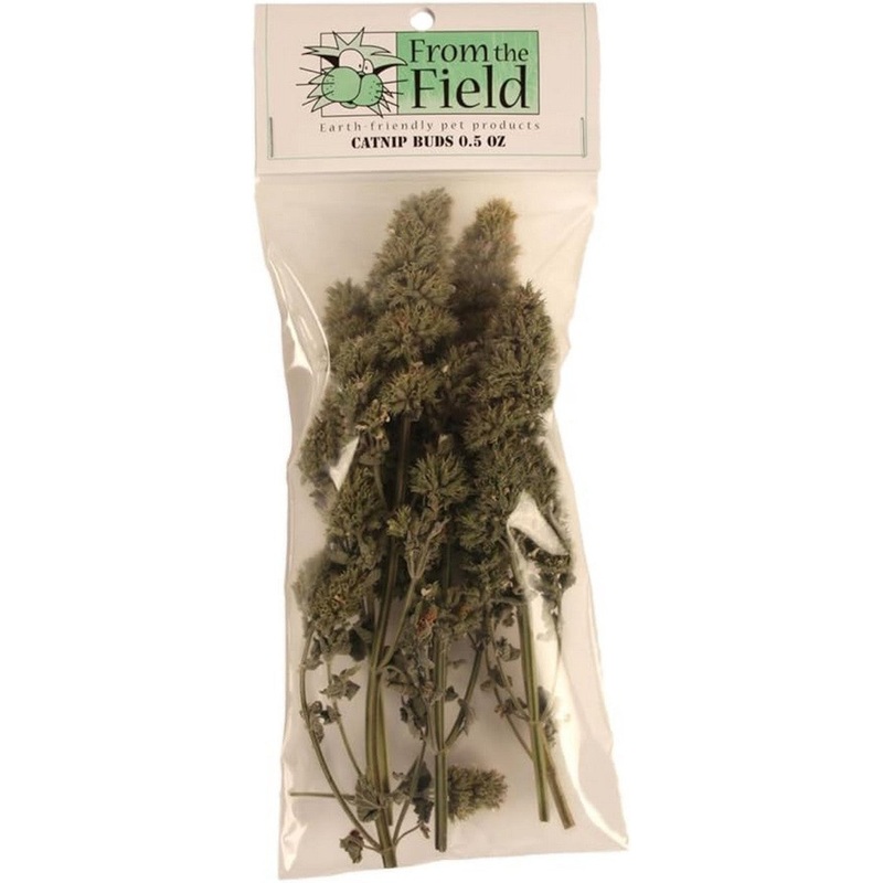 From the Field Organic Catnip Buds - 0.5oz Bag