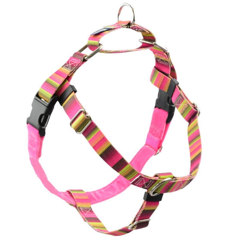 2 Hounds Design Freedom No-Pull Dog Harness - Medium 1" x 24-28" - Bonnie