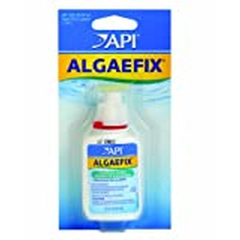 API Algaefix 1.25 Oz