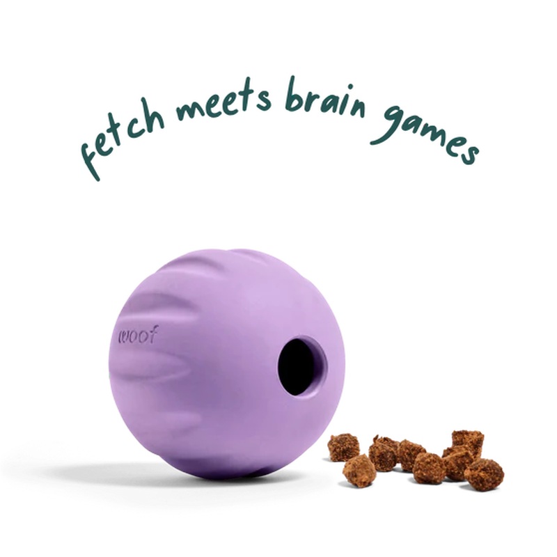 Woof Fllyball Treat Puzzle Dog Toy - Lavender