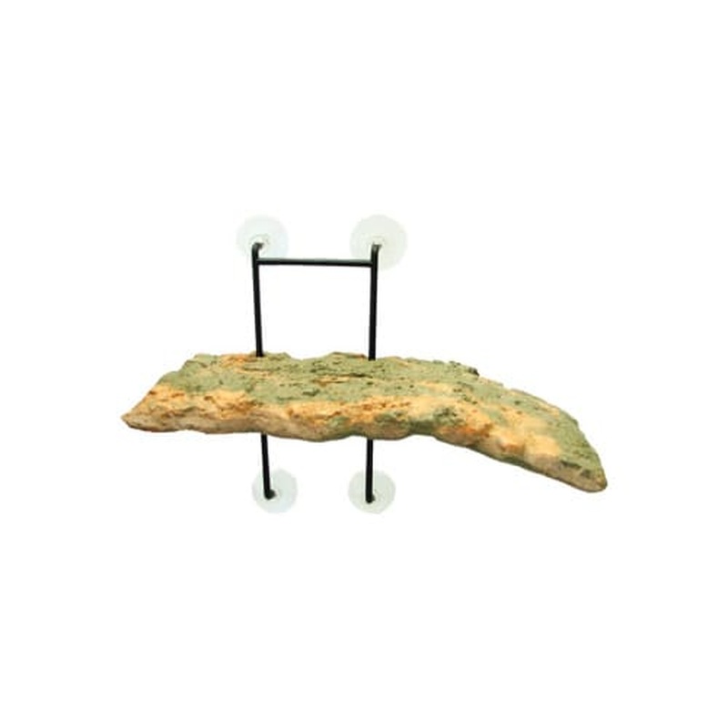 Zoo Med Laboratories Turtle Dock Small Turtle Pond Dock 5 X 11.25 Inch