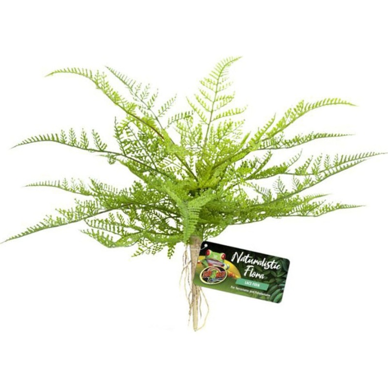 Zoo Med Laboratories BU-62 Naturalistic Flora Lace Fern