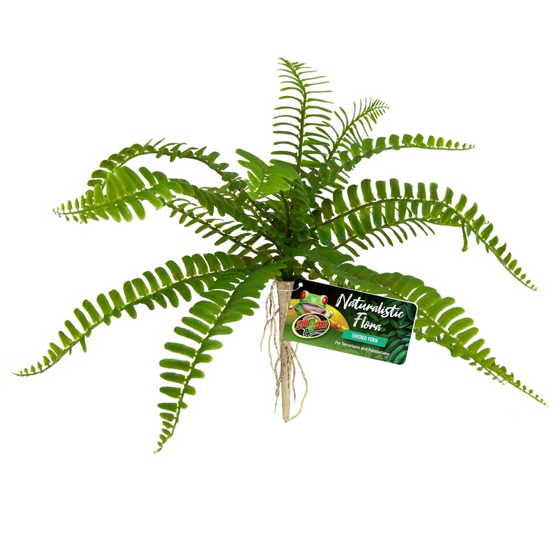 Zoo Med Laboratories BU-63 Naturalistic Flora Sword Fern