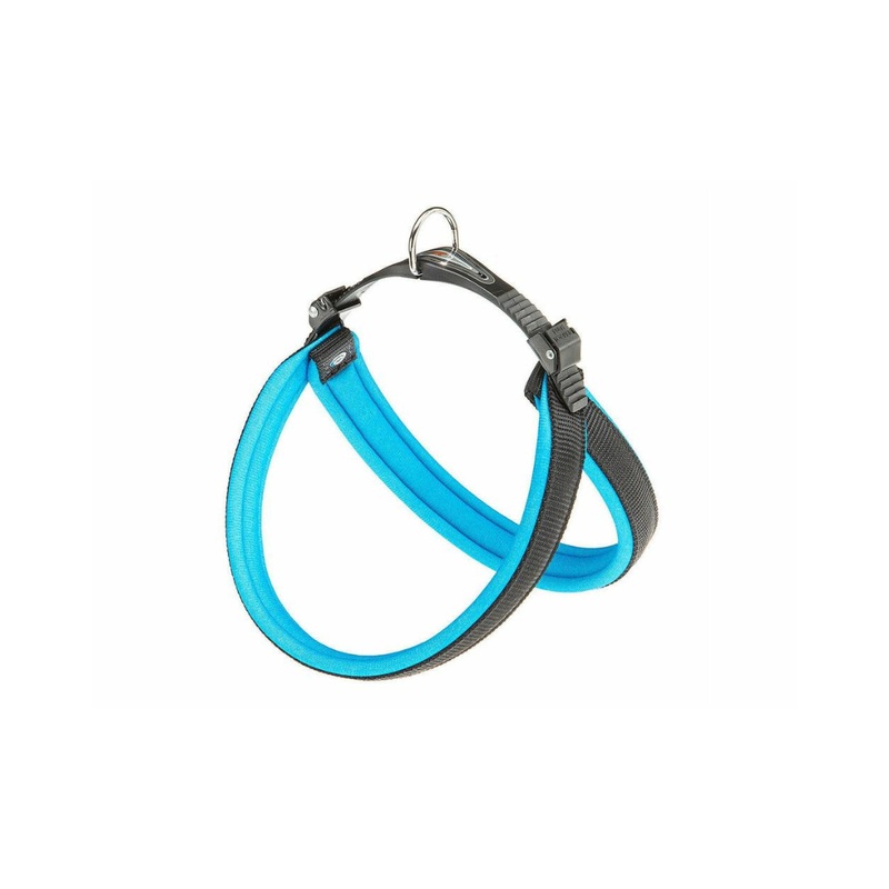 Agila Fluo 4 Blue Adjustable No-Pull Dog Harness