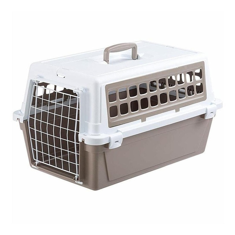 Atlas 20 Trendy V1 Transp