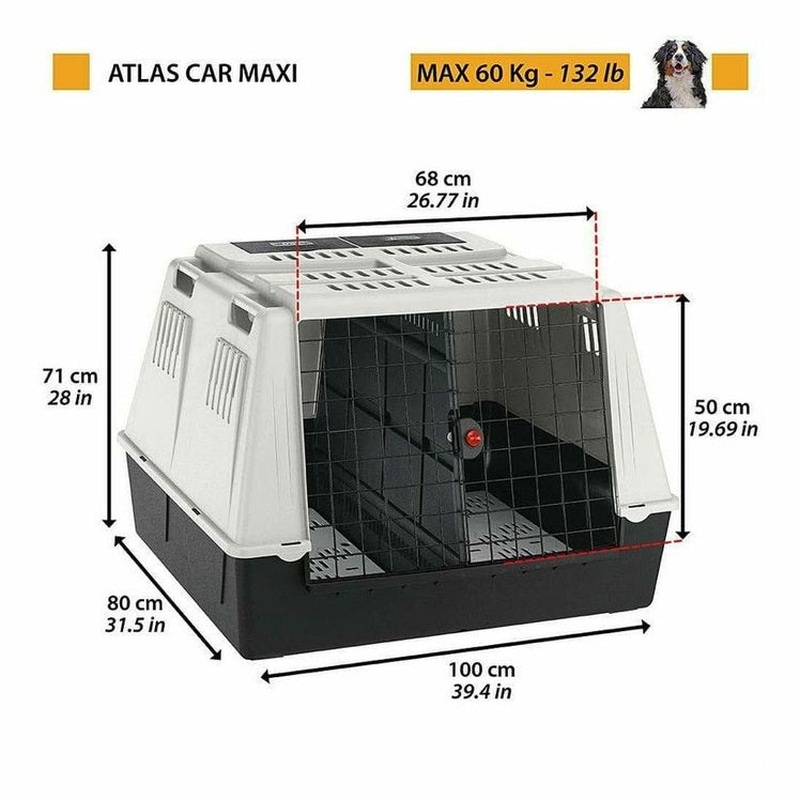 Atlas Car Maxi Gray Transport