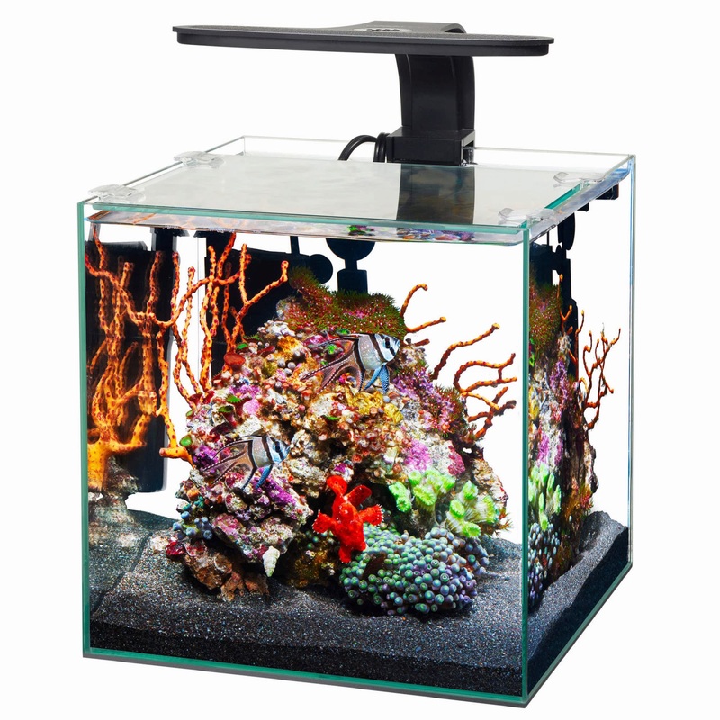 Aqueon Frameless Cube Aquarium, 3 Gallon