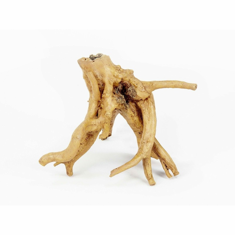 AD ROOT DE MANGUE 3 (16,5 x 13,5 x 13,5cm)