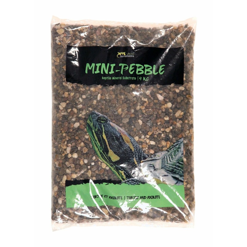 AQUATIC TURTLE BROWN 3-6mm 4kg