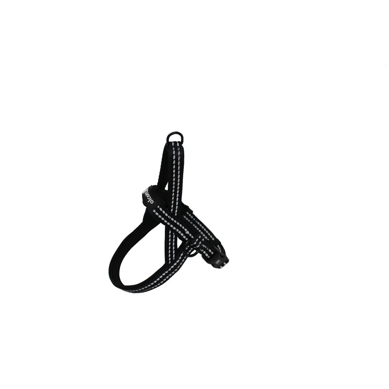 Alcott Adventure Norwegian Harness Small Black