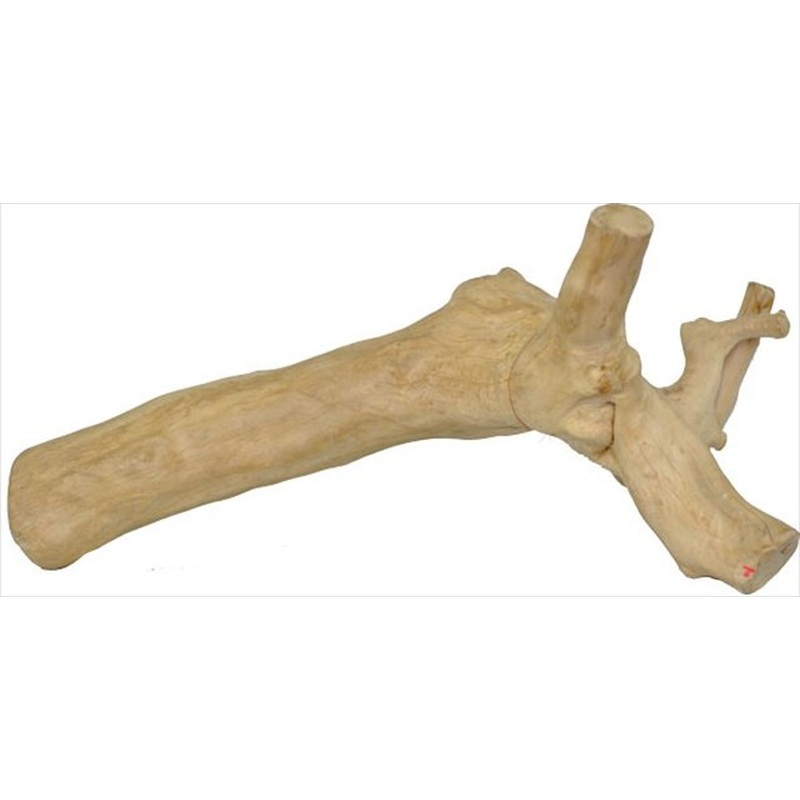 A&E Cage Co Large Reptile Branch