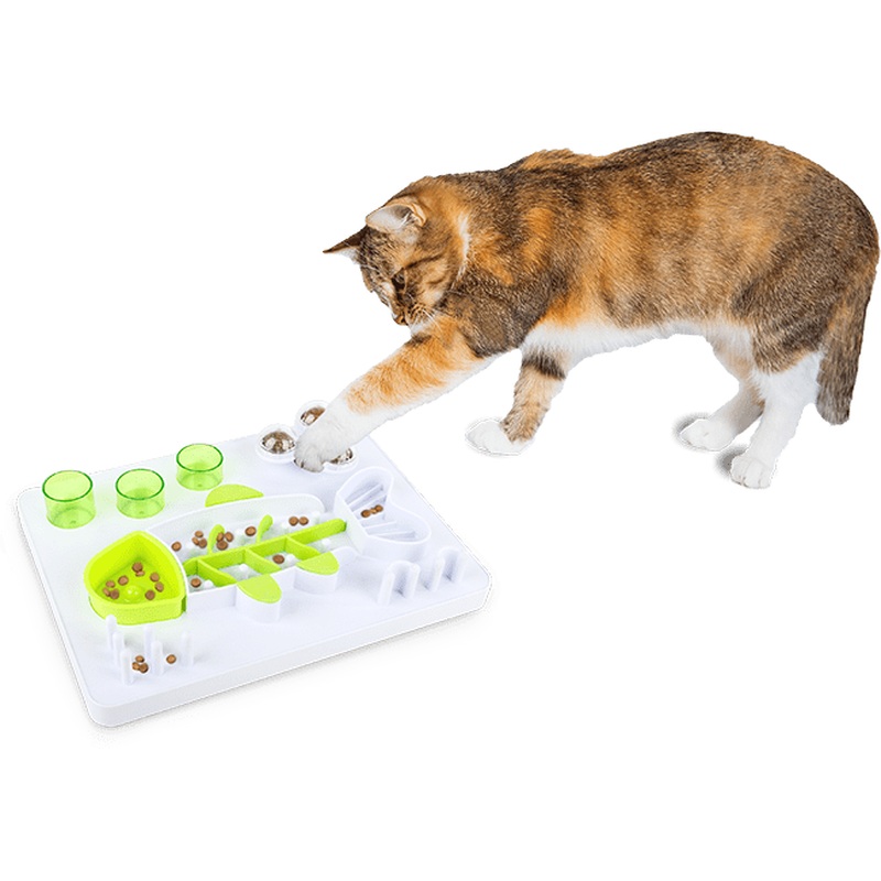 AFP Interactives - Enjoy the Fish