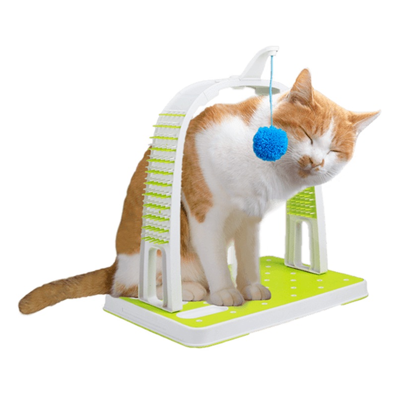 AFP Interactives-Grooming  Arch