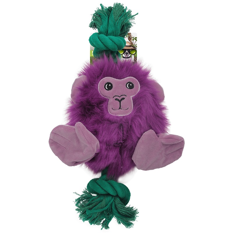 AFP Safari - Big Foot Monkey