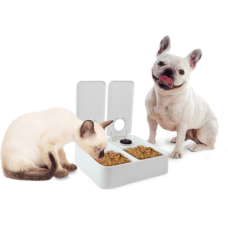 AFP Liftstyle4Pets - Double timer feeder